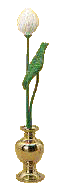 a lotus